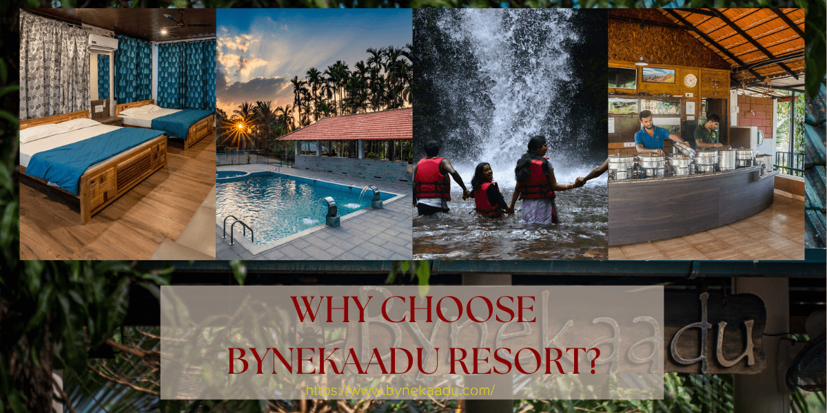 Why Choose Bynekaadu Resort?