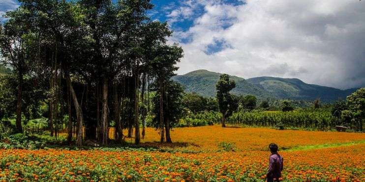 Ranga Taana: Tranquility Amongst Coffee Plantations