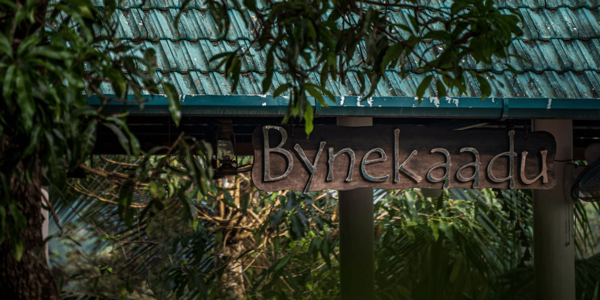 Bynekaadu