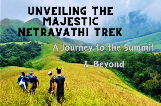 Unveiling the Majestic Netravathi Trek Feature Image