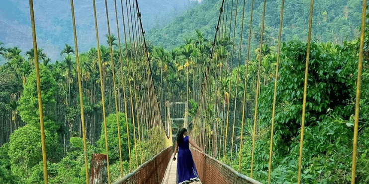 Crossing the Hanging Bridge An Adventure