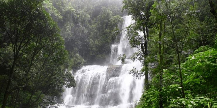 Best Time to Visit Jhari Falls