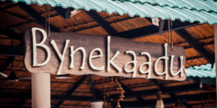 Bynekaadu Resort A Detailed Look