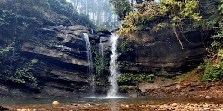 Waterfalls and Wildlife