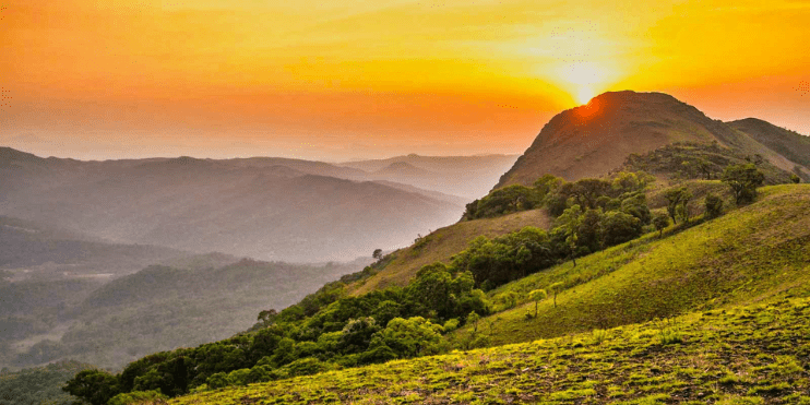 Chikmagalur_ Coffee and Peaks