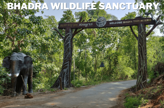 Bhadra Wildlife Sanctuary Chikmagalur's Natural Wonder