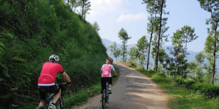 Biking_ Pedaling Through Scenic Routes Across Coffee Plantations