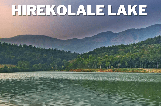 Exploring the Tranquil Beauty of Hirekolale Lake Chikmagalur