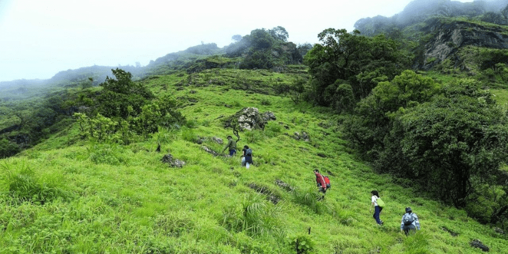 Trekking to Mullayanagiri Peak