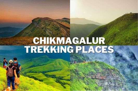 Chikmagalur trekking places in Karnataka: Explore the scenic beauty of Karnataka's trekking destinations.